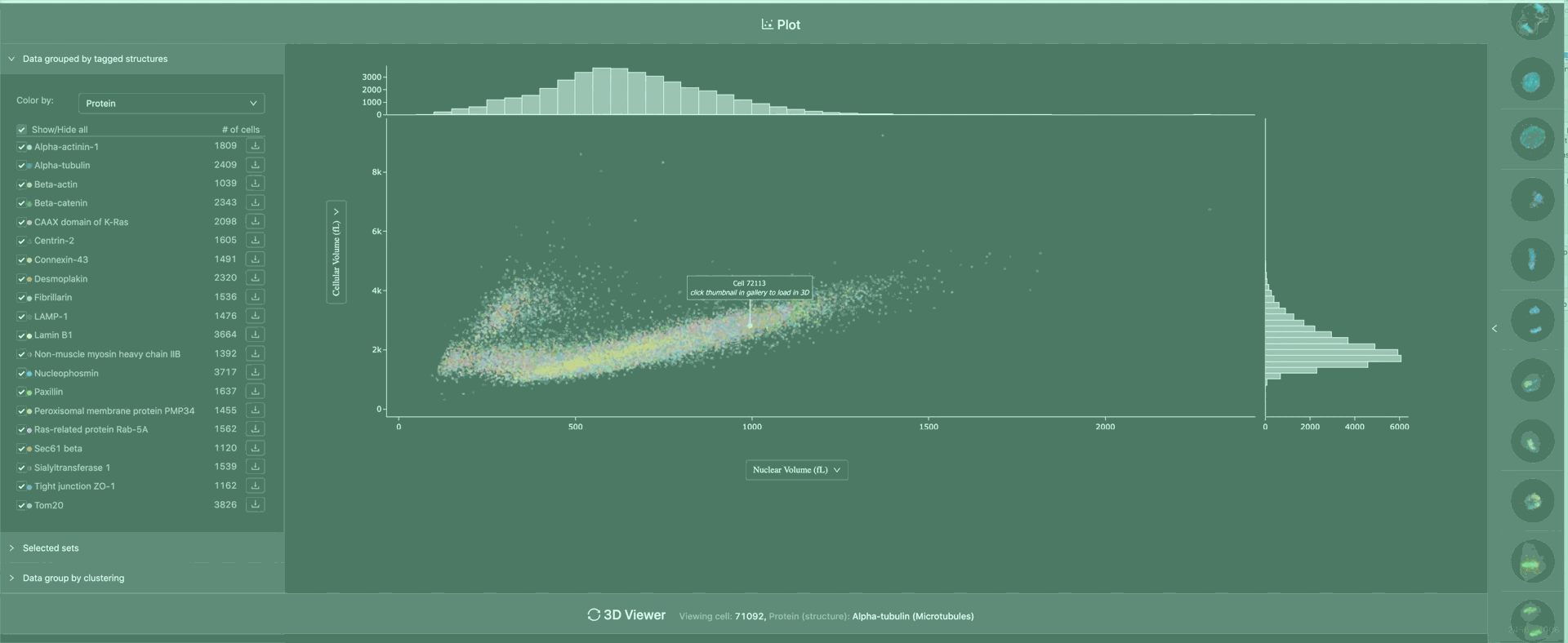 Cell Feature Explorer — process