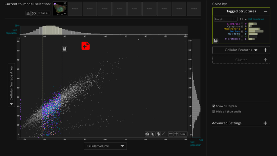 Cell Feature Explorer
