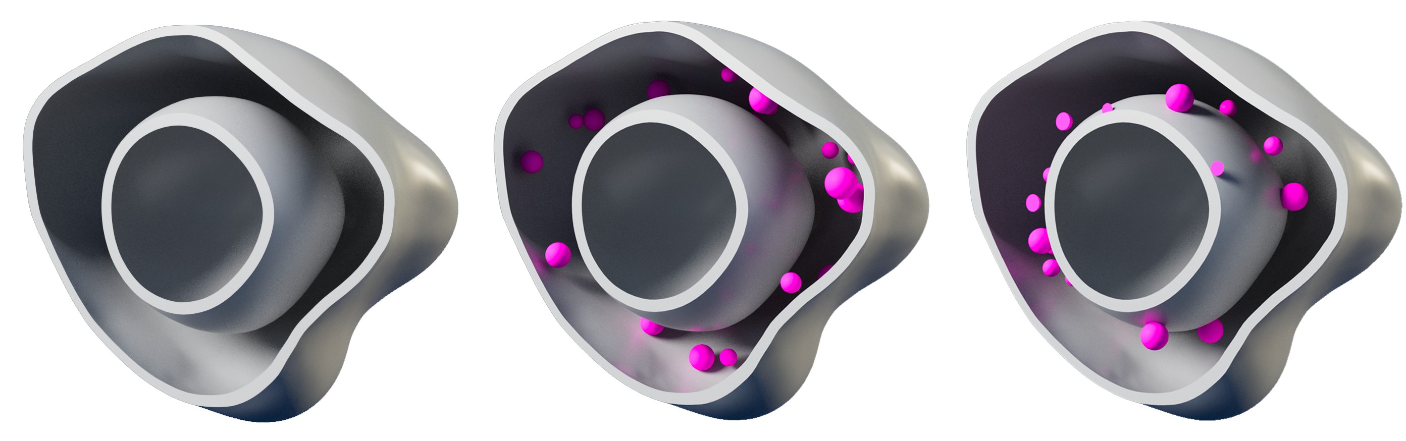 Rules of intracellular organization cover