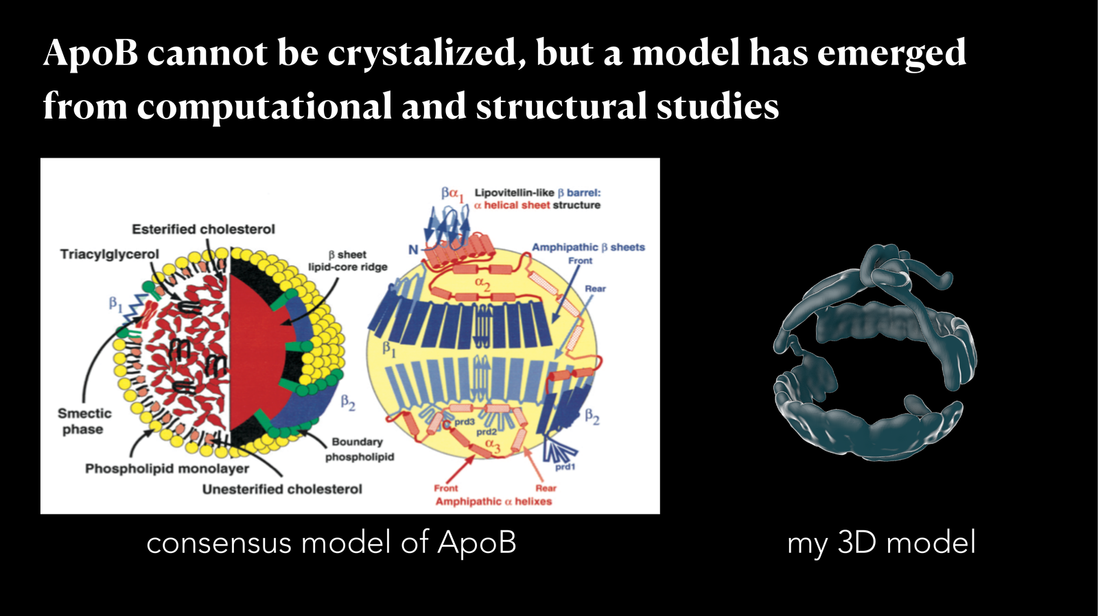 LDL & HDL Models — process