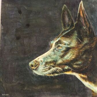 Andy