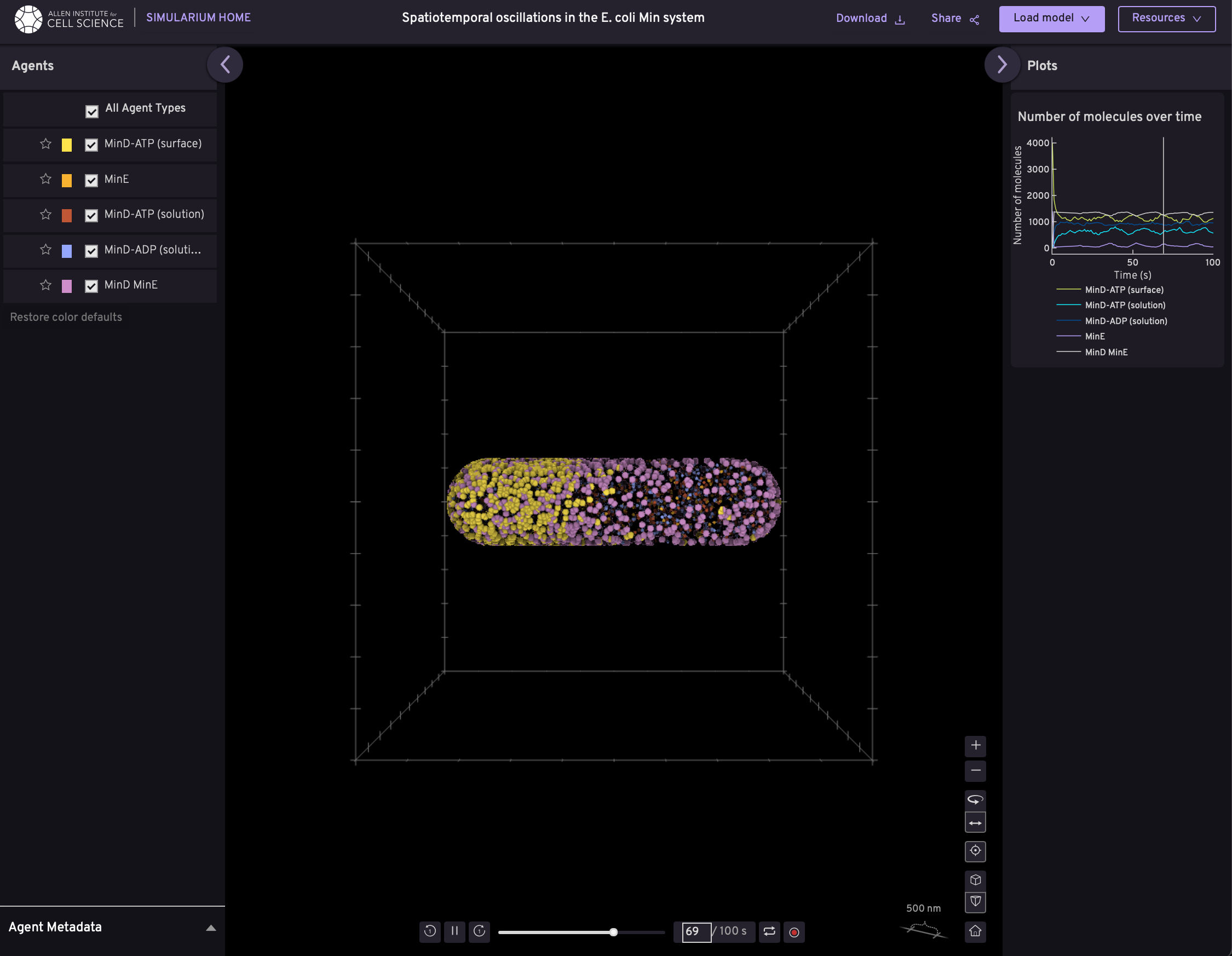 Simularium — process